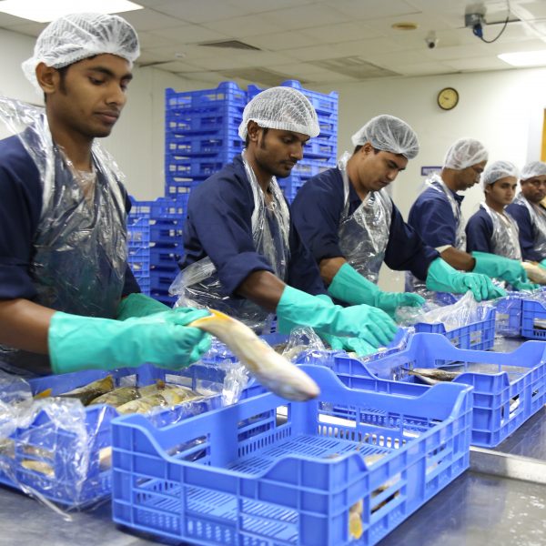 Facilities Oman Fisheries Company SAOG